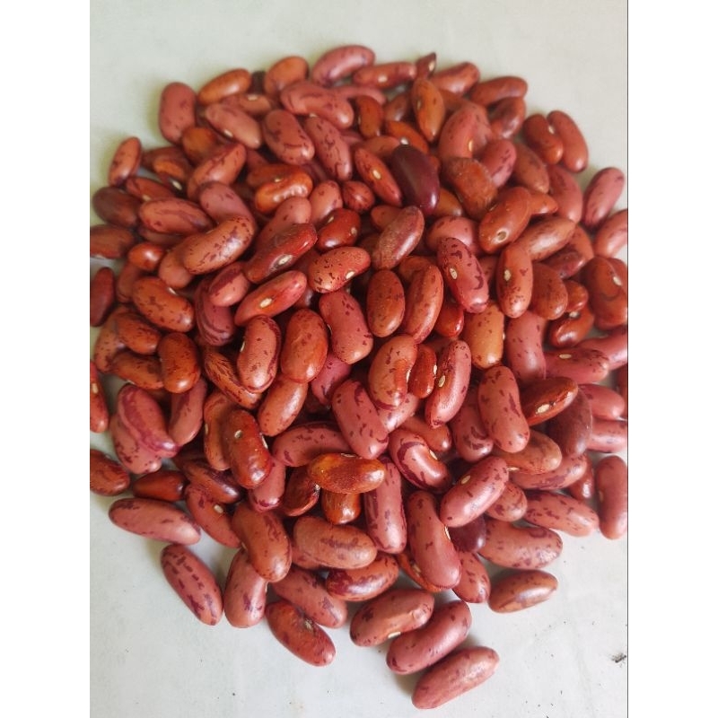 

kacang merah 1kg