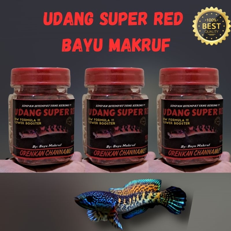 UDANG SUPER RED BAYU MAKRUF/UDANG CHANNA SUPER ORANGE