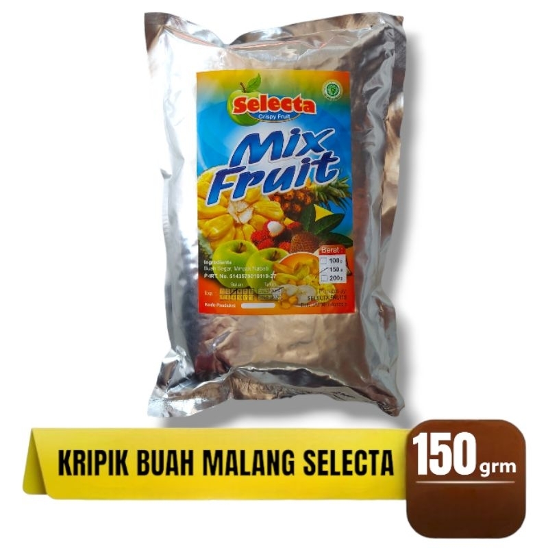 

Keripik Buah Mix Fruit Nangka Apel Salak Nanas Rambutan SELECTA Malang