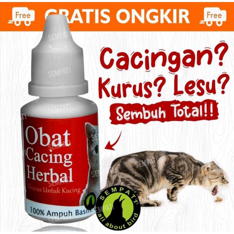 Sempati Obat Cacing Herbal Obat Kucing Sakit Cacingan Kurus Lesu Lemas Anti Infeksi Ampuh Basmi Caci