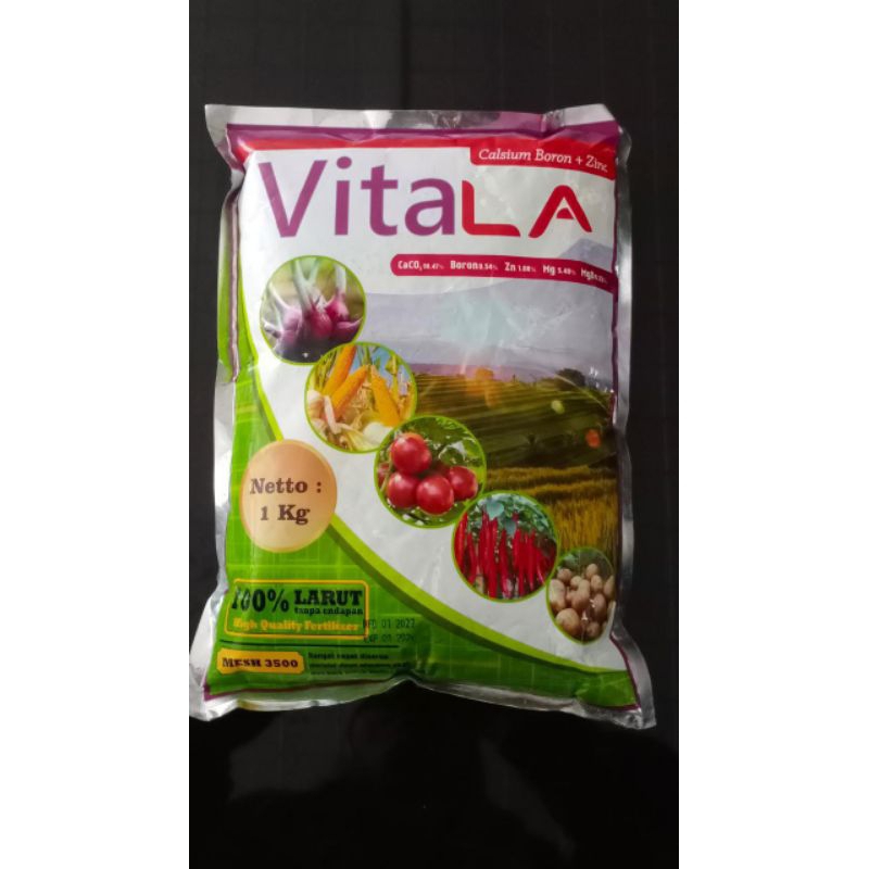VITALA CALSIUM BORON + ZINC