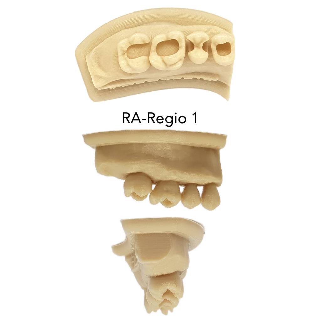 Model latihan tambal gigi hands on restorasi model gigi bolong model konservasi model tambal gigi