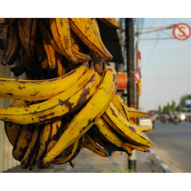 

buah pisang tanduk khas muria kudus manis legit