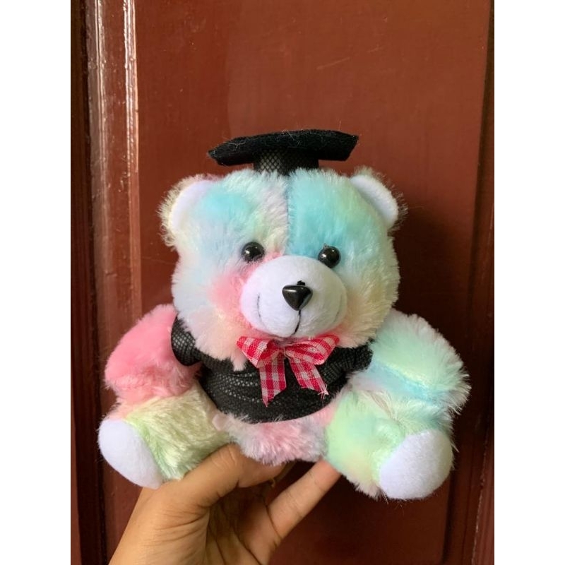boneka beruang mini 15 cm,boneka beruang rainbow boneka wisuda boneka buket beruang