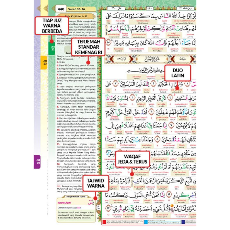 Alquran A4 Duo Latin Almadrasah Terjemahan | Terjemah Perkata Tajwid Warna | Al Quran Alqosbah TERBARU