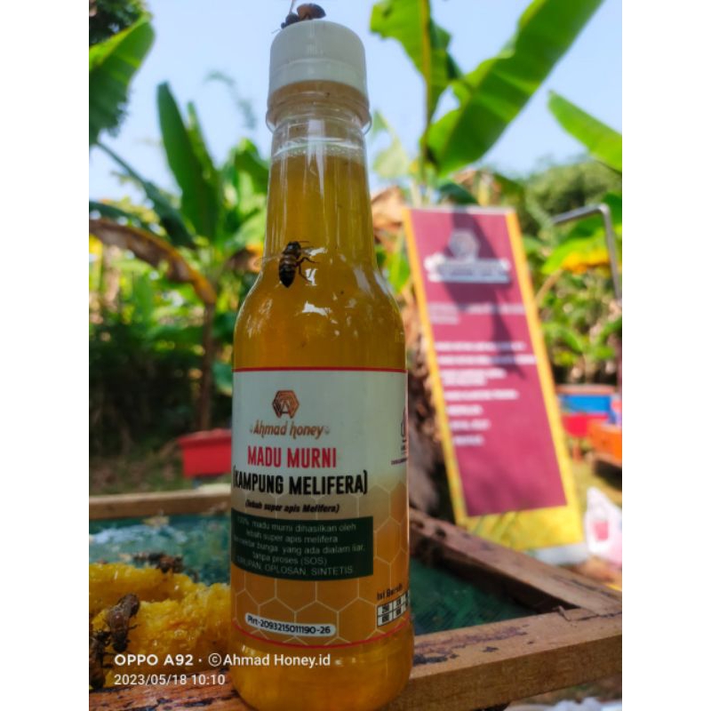 

madu murni madu asli madu asli murni madu Randu murni madu hutan