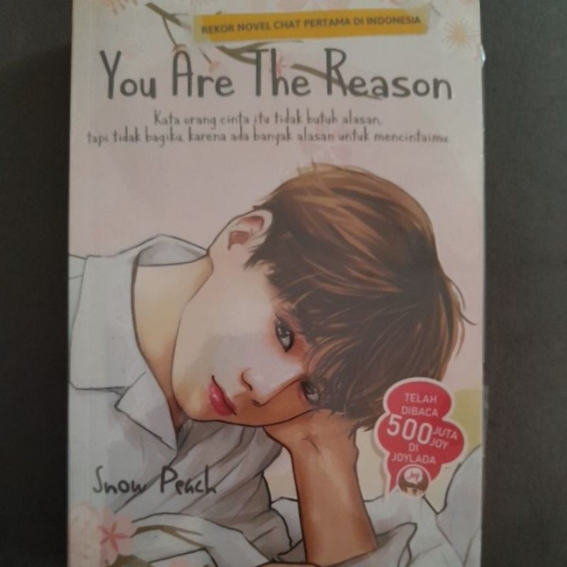 

novel you are the reason