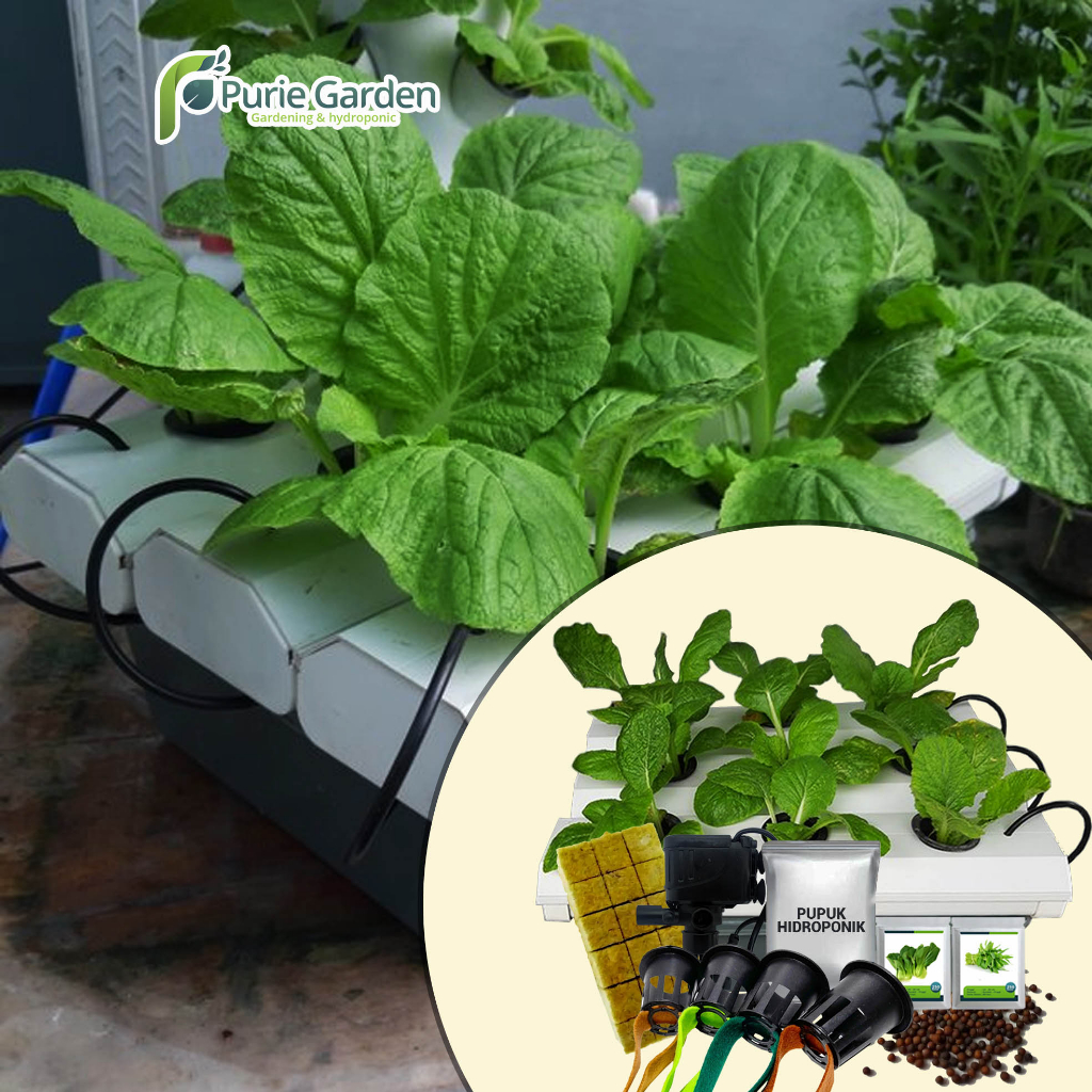 Instalasi Hidroponik NFT Portable Mini Green 9Lubang PG SBY