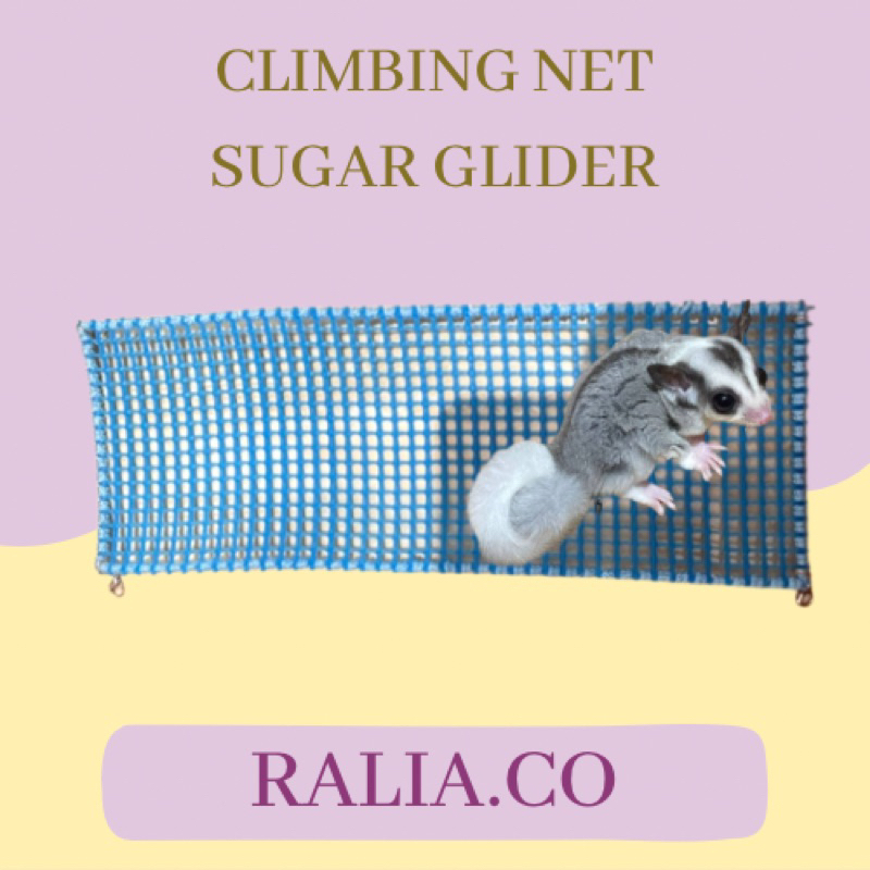 climbing net sugar glider