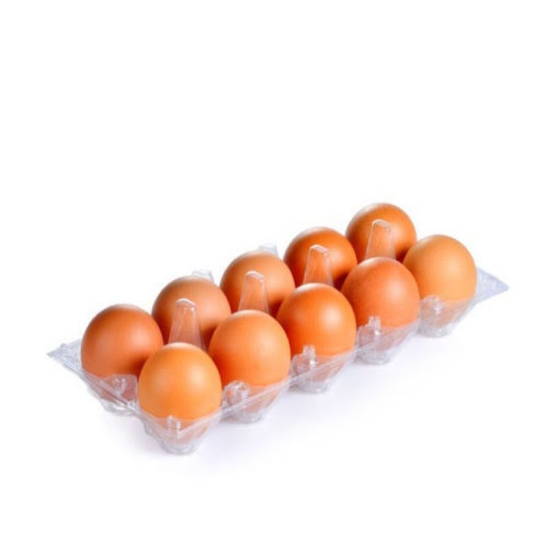 

TELUR AYAM NEGERI TERBAIK ISI 10 BUTIR