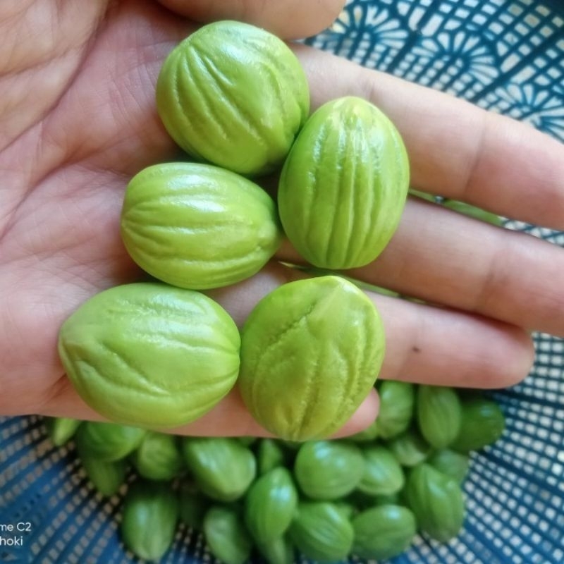 

PETEI KUPAS TUA 250gram SUPER NO KALENG²