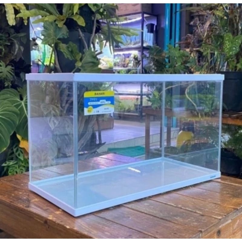 aquarium akrilik list putih ukuran 60 cm bahari khusus instan aja