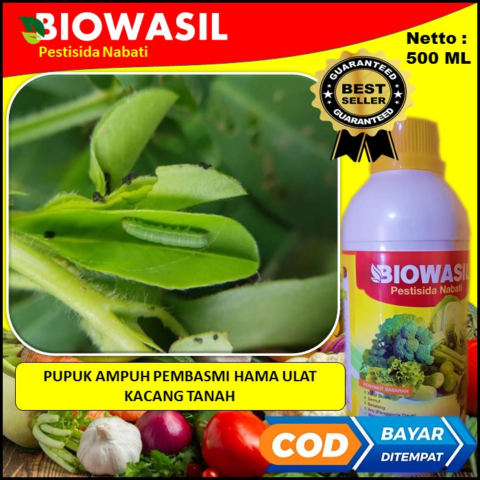 Cod Murah Langsung Kirim Pupuk Terbaik Biowasil Pestisida Nabati 500 Ml Pupuk Ampuh Membasmi Hama ul