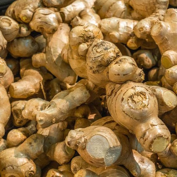 

Jahe 500 gr