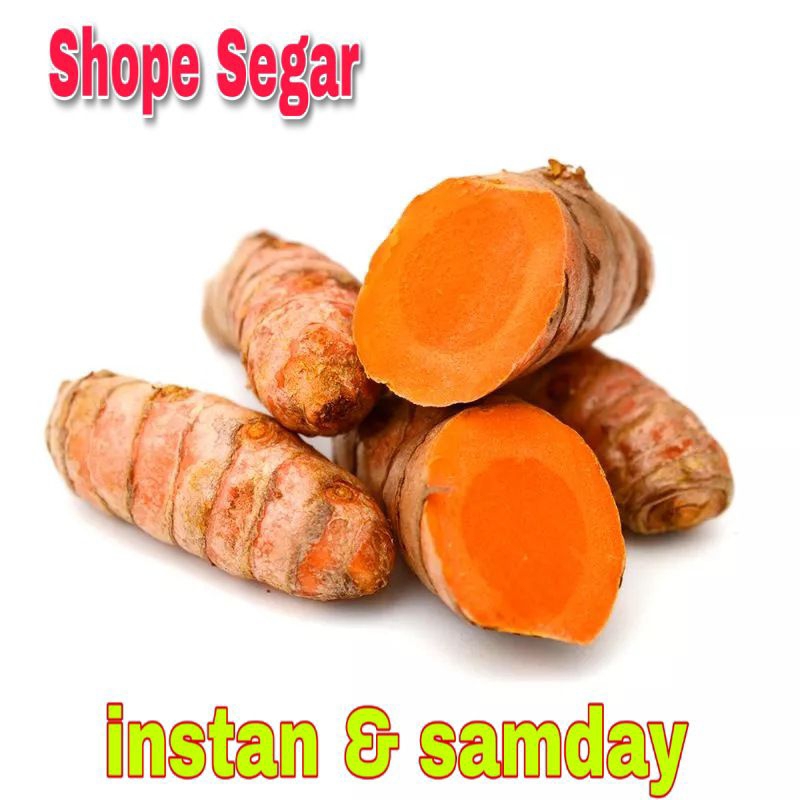 

Kunyit Segar Kunyit Baru Panen Fresh