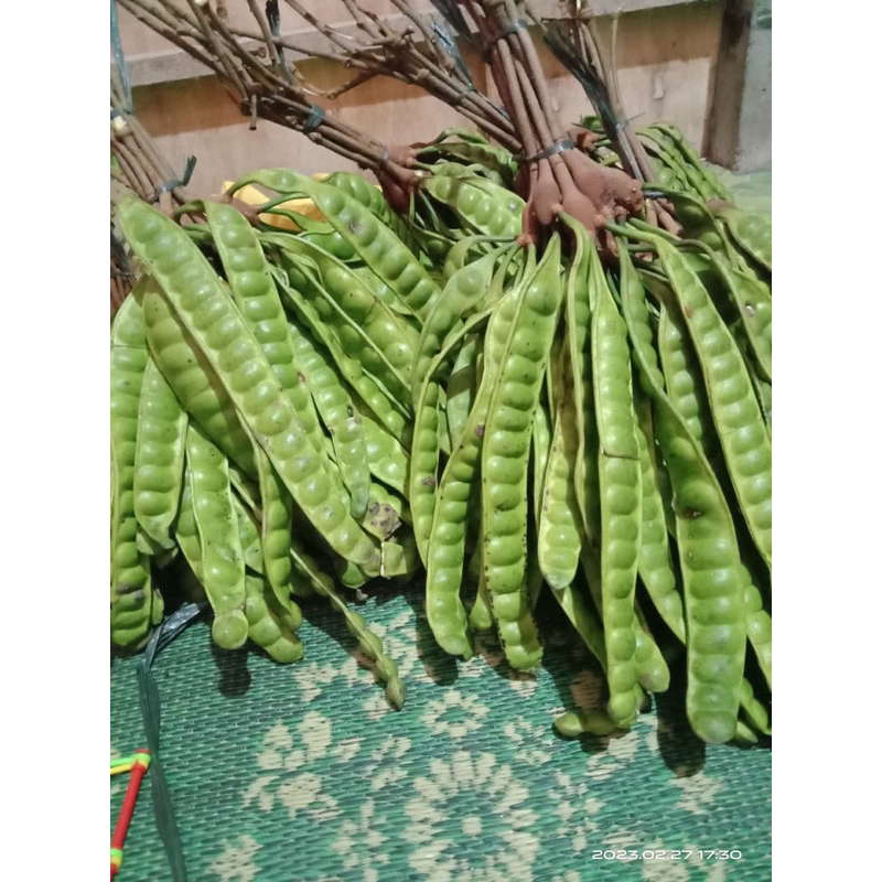 

Pete pilihan 10 papan