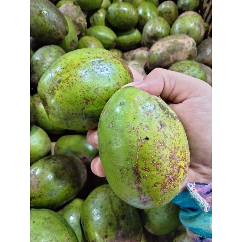

Kedondong Besar 1kg / Buah kedondong rujak