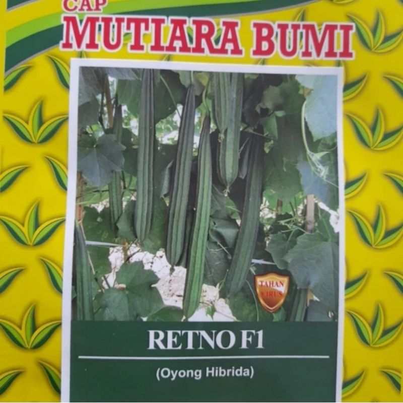 retno f1 10gram mutiara bumi benih bibit oyong emes