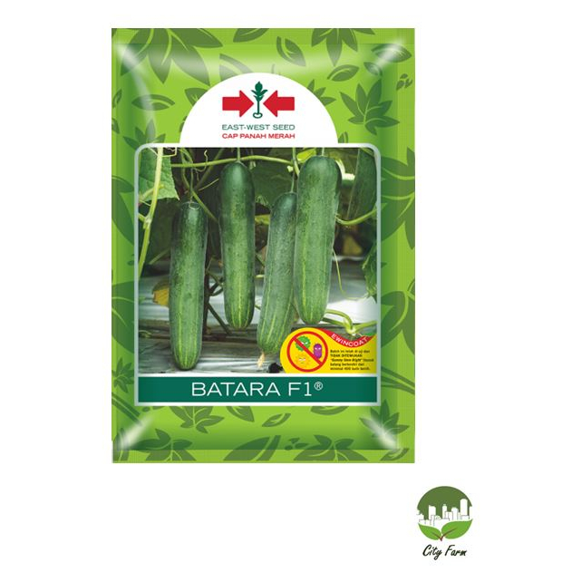 Benih Timun Batara SP (150 Butir) Panah Merah