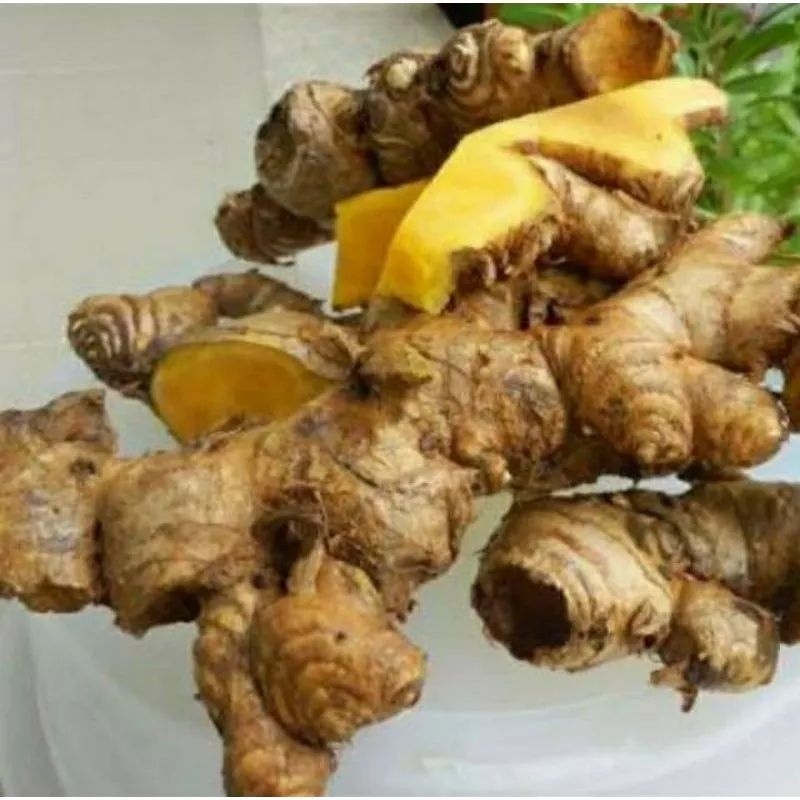 

Bengle - Bangle Segar 250 gr