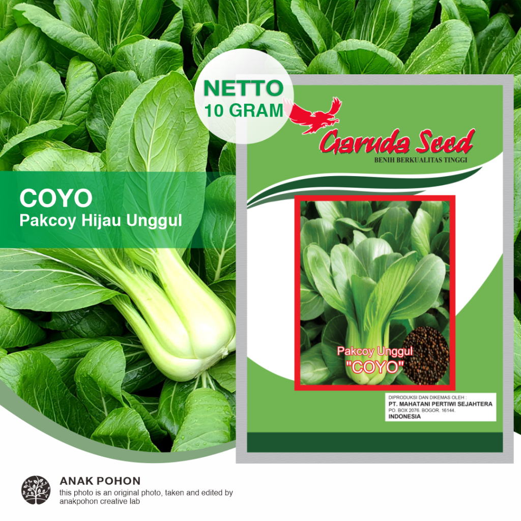 (1 PACK) Benih Pakcoy Hijau COYO Pak Choi Unggul Seeds - Garuda Seed - 10 GRAM