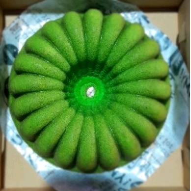 

BOLU PANDAN PANGGANG PREMIUM / HOMEMADE / BAKUL NASI / LOYANG SULTAN