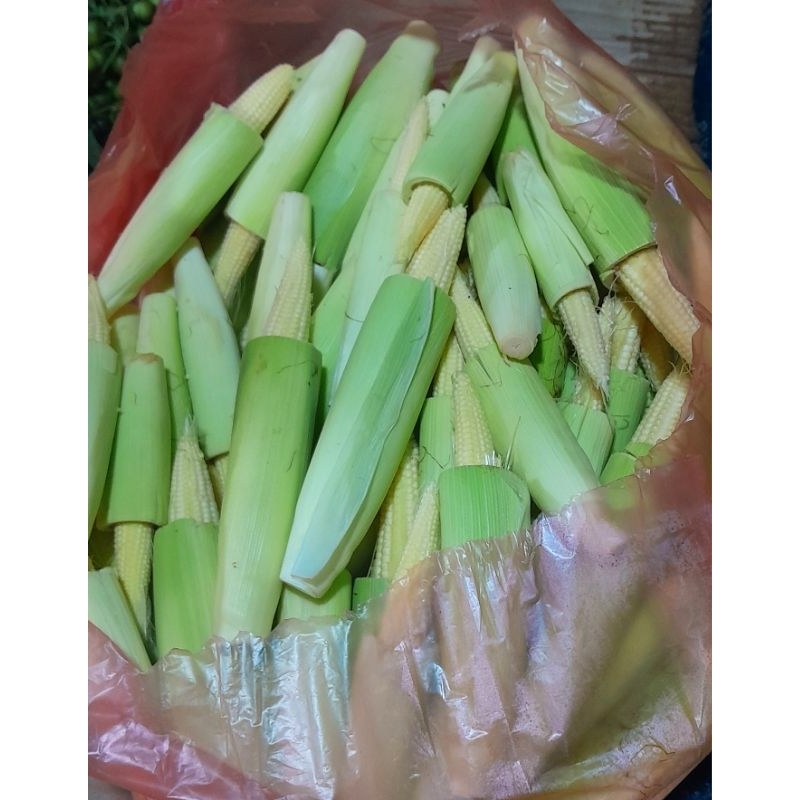 

Jagung putren kecil 500 gr