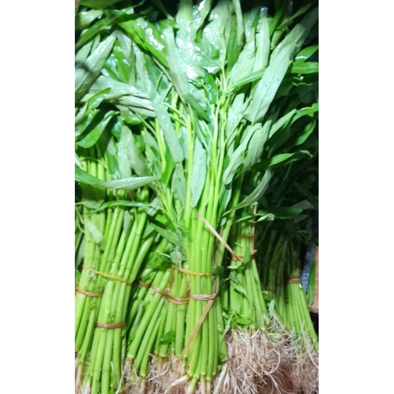 

Daun Kangkung 5 ikat