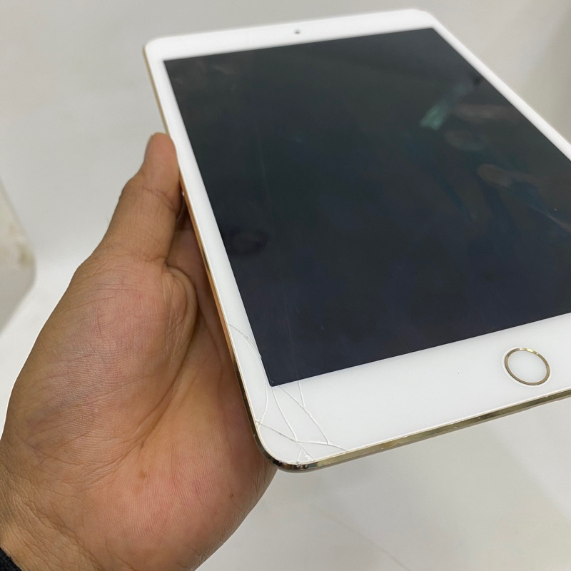 iPad mini 4 Resmi iBox