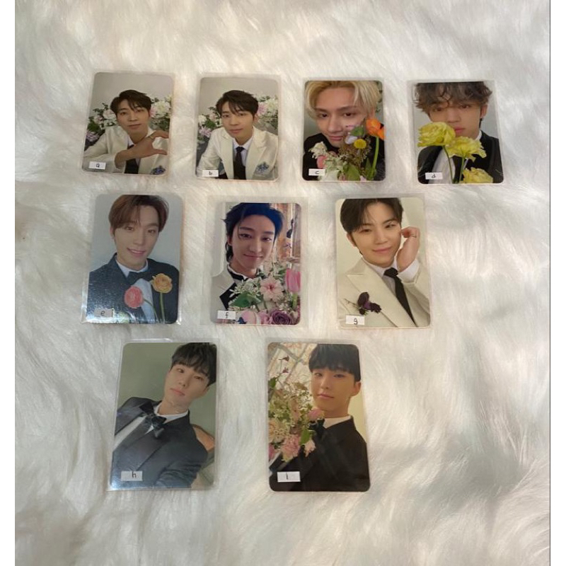 {Ready Stock} PC Selca FML Carat Ver Seventeen SVT Wonwoo Jun Scoups Dino The8 Woozi Hoshi