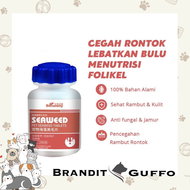 Vitamin kucing anjing cegah jamur bulu rontok basmi fungal dog cat