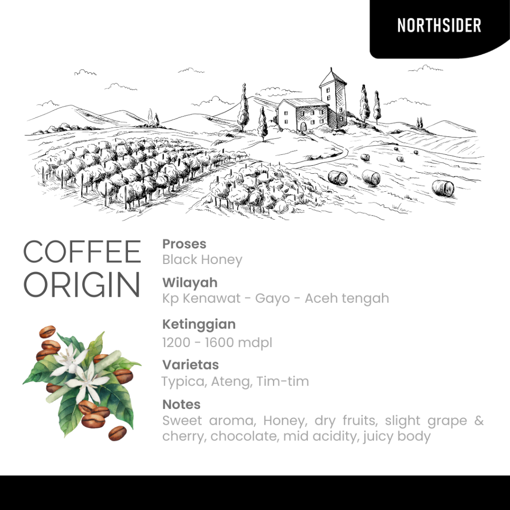 BIJI KOPI ARABIKA ACEH GAYO KENAWAT BLACK HONEY - 500GR NORTHSIDER COFFEE