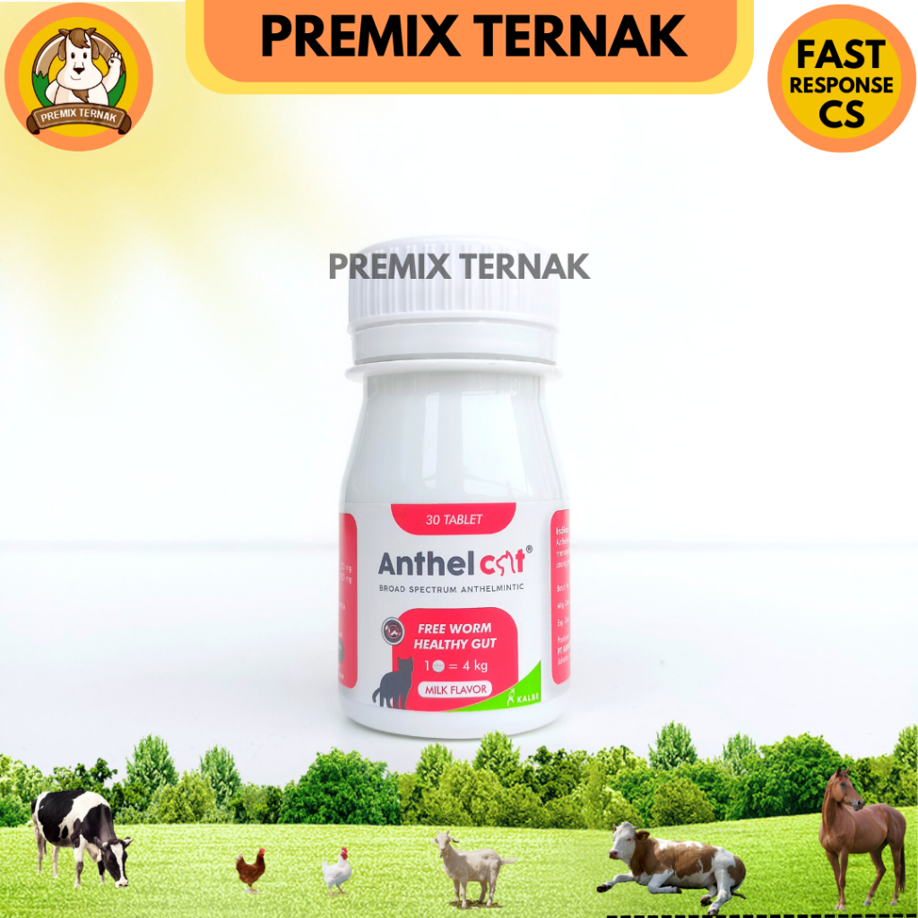 ANTHEL CAT 1 TABLET (KEMASAN BOTOL) - Obat Cacing Kucing LIKE DRONTAL CAT