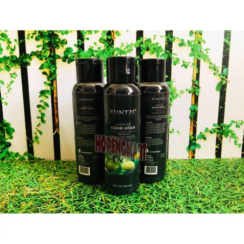 Kuntze Minyak Kemiri