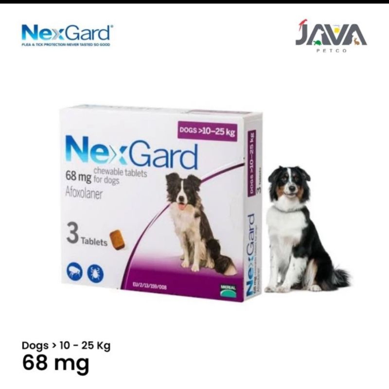 (1 TABLET) NEXGARD 10 - 25KG OBAT KUTU DEMODEX SCABIES OBAT KUTU AMPUH DOG