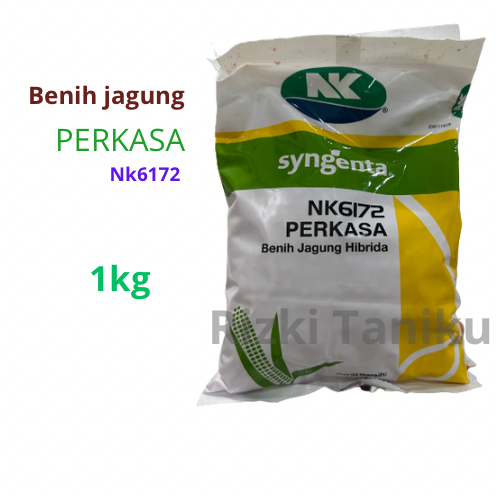 

Benih Jagung NK 6172 1 Kg jagung perkasa 100%ORI
