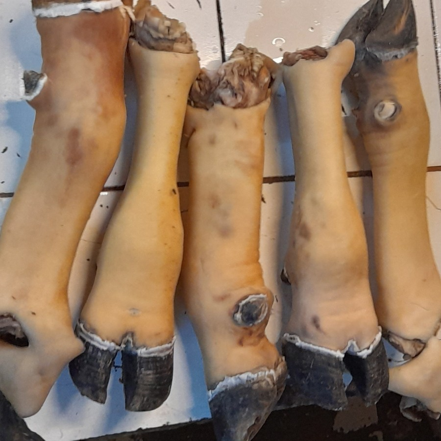 

Kaki Sapi Lokal Kikil per Batang