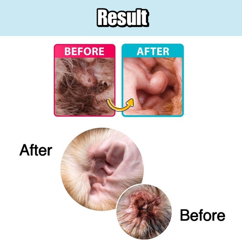 EAR CLEANER 60ml PEMBERSIH TELINGA KUCING PEMBERSIH TELINGA ANJING EAR WAX CLEANER PEMBERSIH KOTORAN TELINGA KUCING PEMBERSIH KOTORAN TELINGA ANJING EAR CLEANER HEWAN EAR CLEANER ANTI BAKTERI EAR CLEANER ANTI BAU EAR CLEANER ATASI EARMITES OBAT TETES