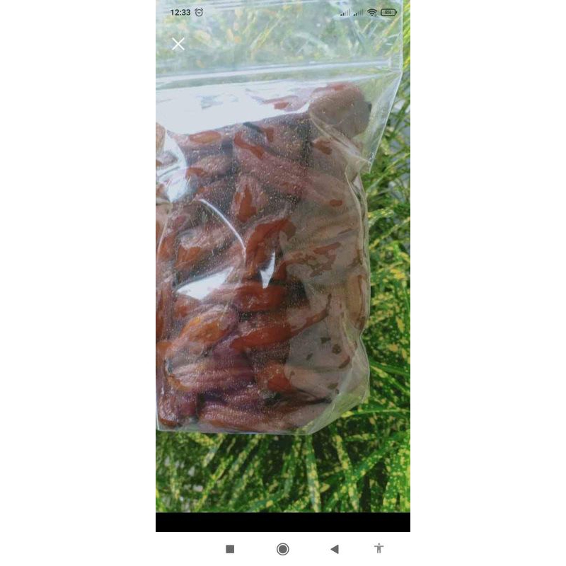 salai / selai pisang basah