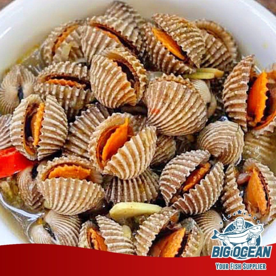 

Kerang Dara Segar Frozen @500gr