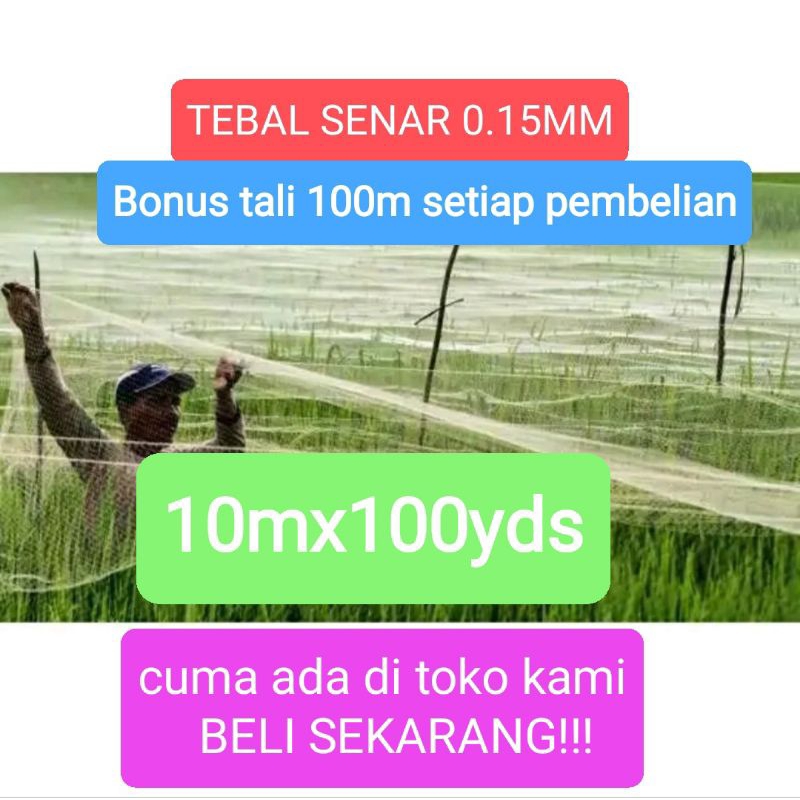 Jaring burung sawah 10mx100yds tebal senar 0.15mm jaring burung kecil jaring burung pipit sawah jaring pengaman padi burung sawah