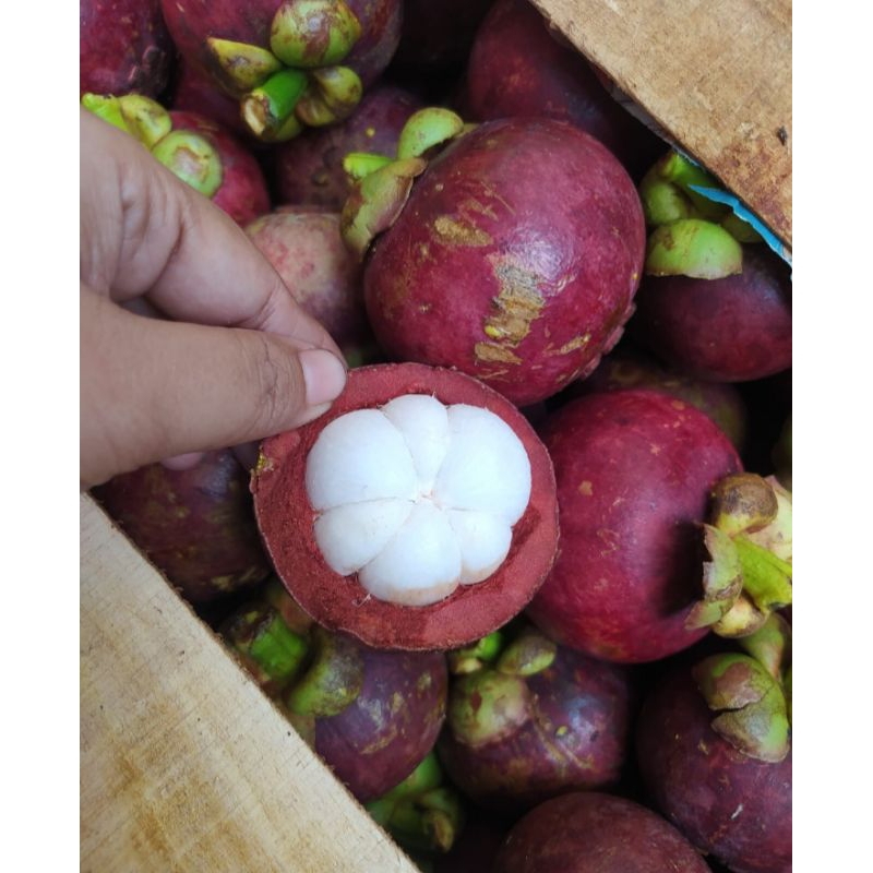 

Buah manggis 500grm PROMO