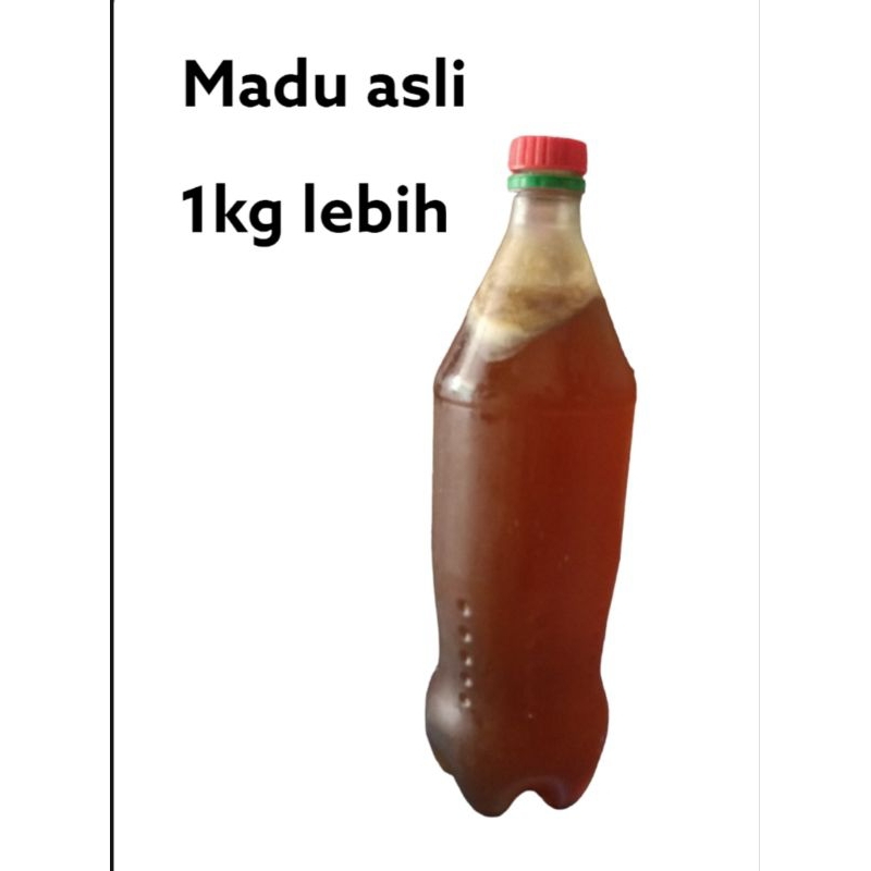 

madu asli Rupat gak campur