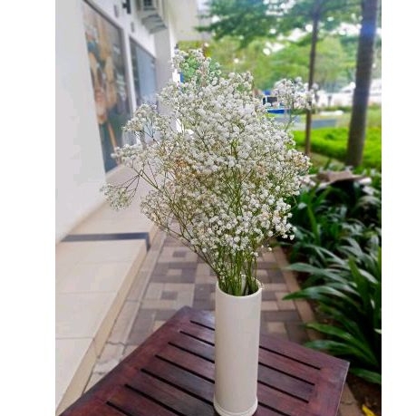 bunga baby breath asli fresh 1tangkai bunga cantik baby breath