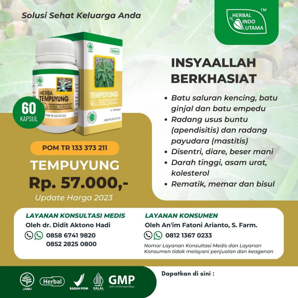 Kapsul Tempuyung HIU Obat Herbal Batu Ginjal dan Batu Empedu