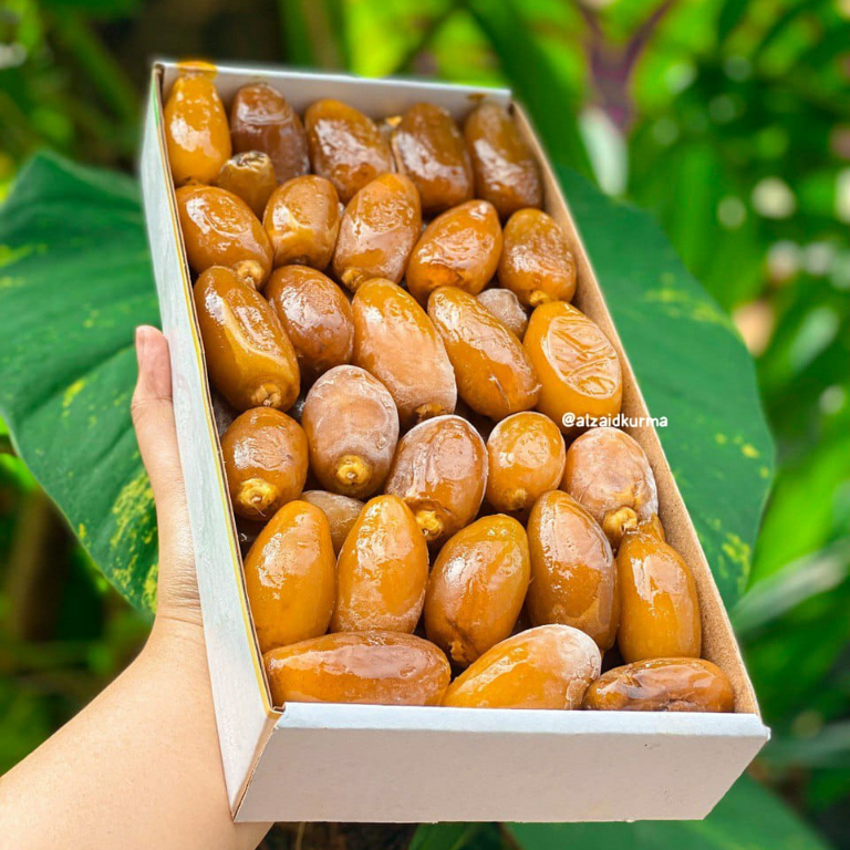 

Grosir Kurma Ruthob Libya Premium Fresh 1kg