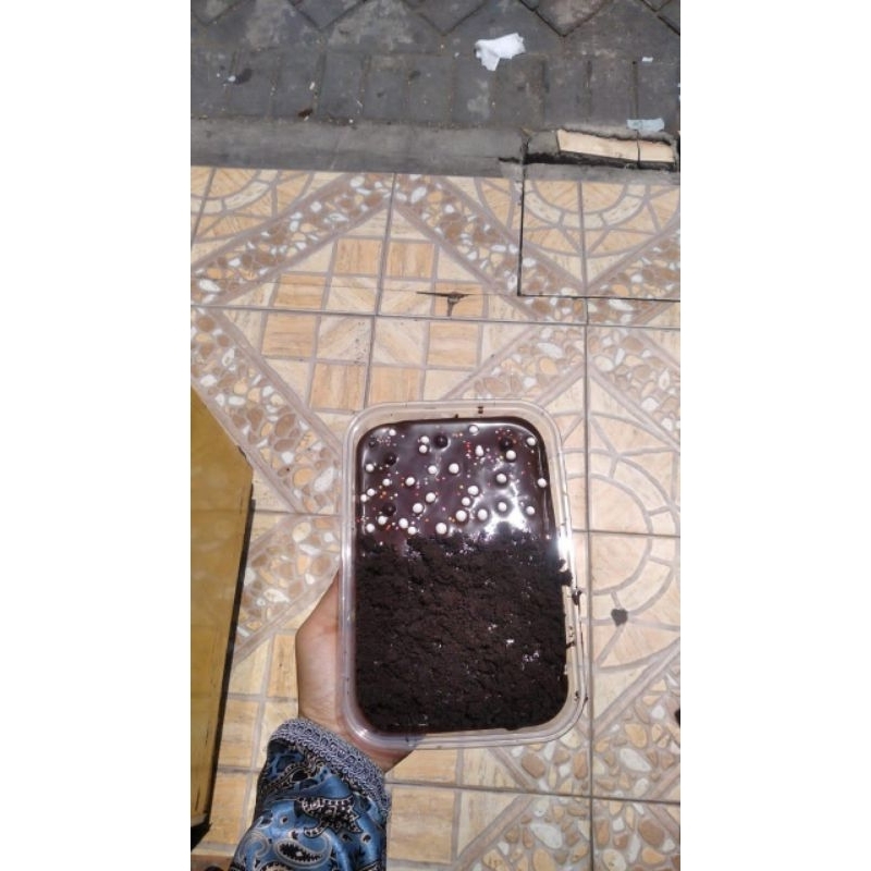 

BROWNIES LUMER COKLAT