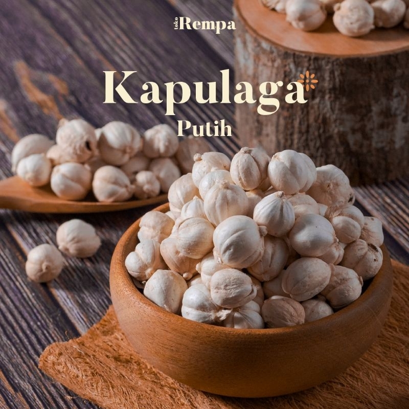 

Kapulaga Putih Kering / White Cardamom 1kg