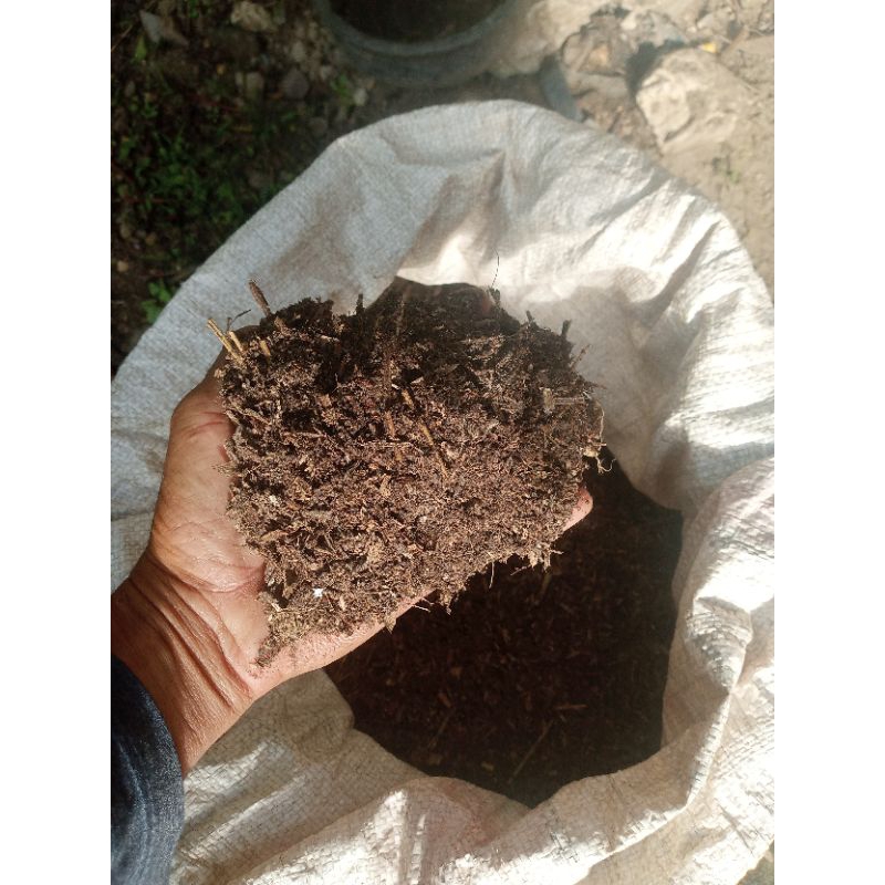 pupuk kompos daun bambu pilihan