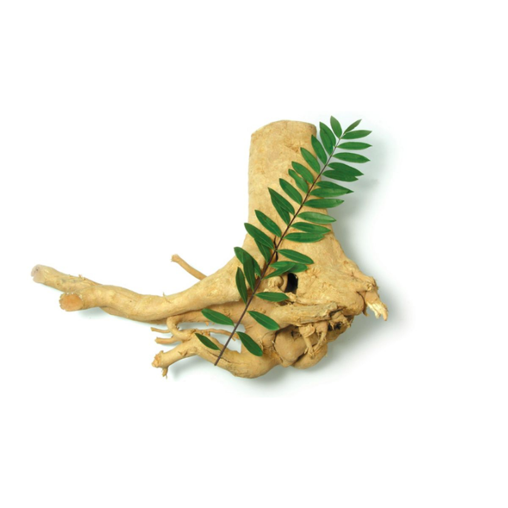 Alami _ Obat Mani Bocor, Katup Mani Bocor Kebocoran Katup Air Mani Untuk Pria - Obat Mani Encer